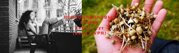 кокаин Алексеевка
