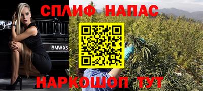 дмт Пугачёв